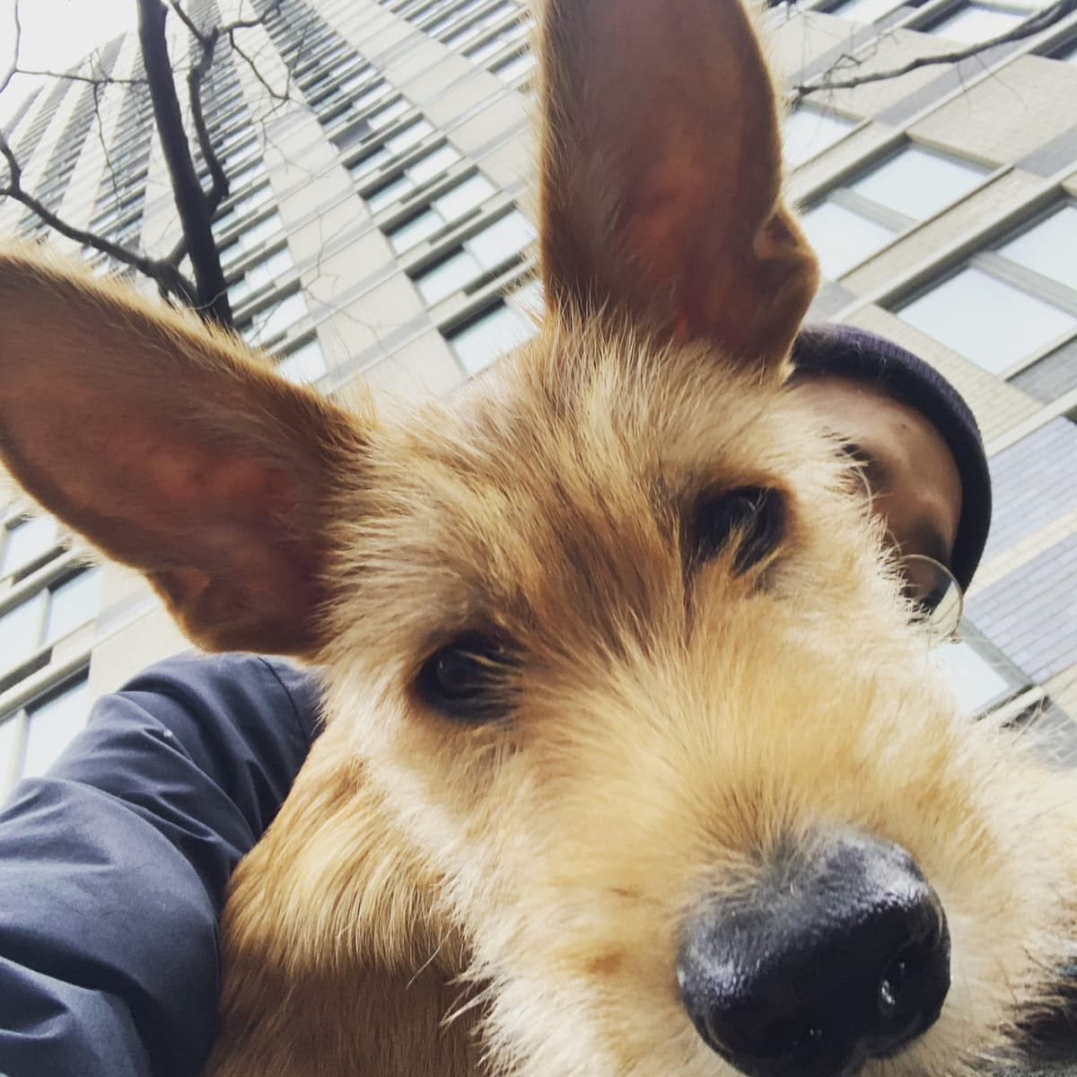 Bertlee with Dog
